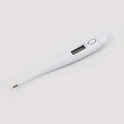 Professionele digitale thermometer met twee zones voor koken